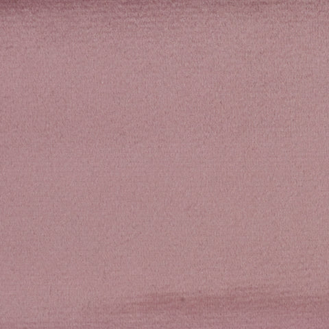 Plush Pink