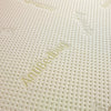 Anti Bed Bug Reflex and Memory Foam 8" Mattress-Memory Foam Mattress-Chic Concept